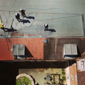 Best Roof Cleaning Company Reviews