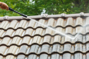 roof cleaner near me