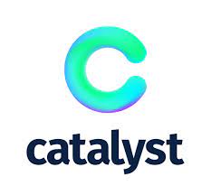 A logo for a commercial cleaning company called 'catalyst' specializing in exterior cleaning services, including roof cleaning.